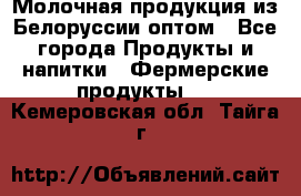 Молочная продукция из Белоруссии оптом - Все города Продукты и напитки » Фермерские продукты   . Кемеровская обл.,Тайга г.